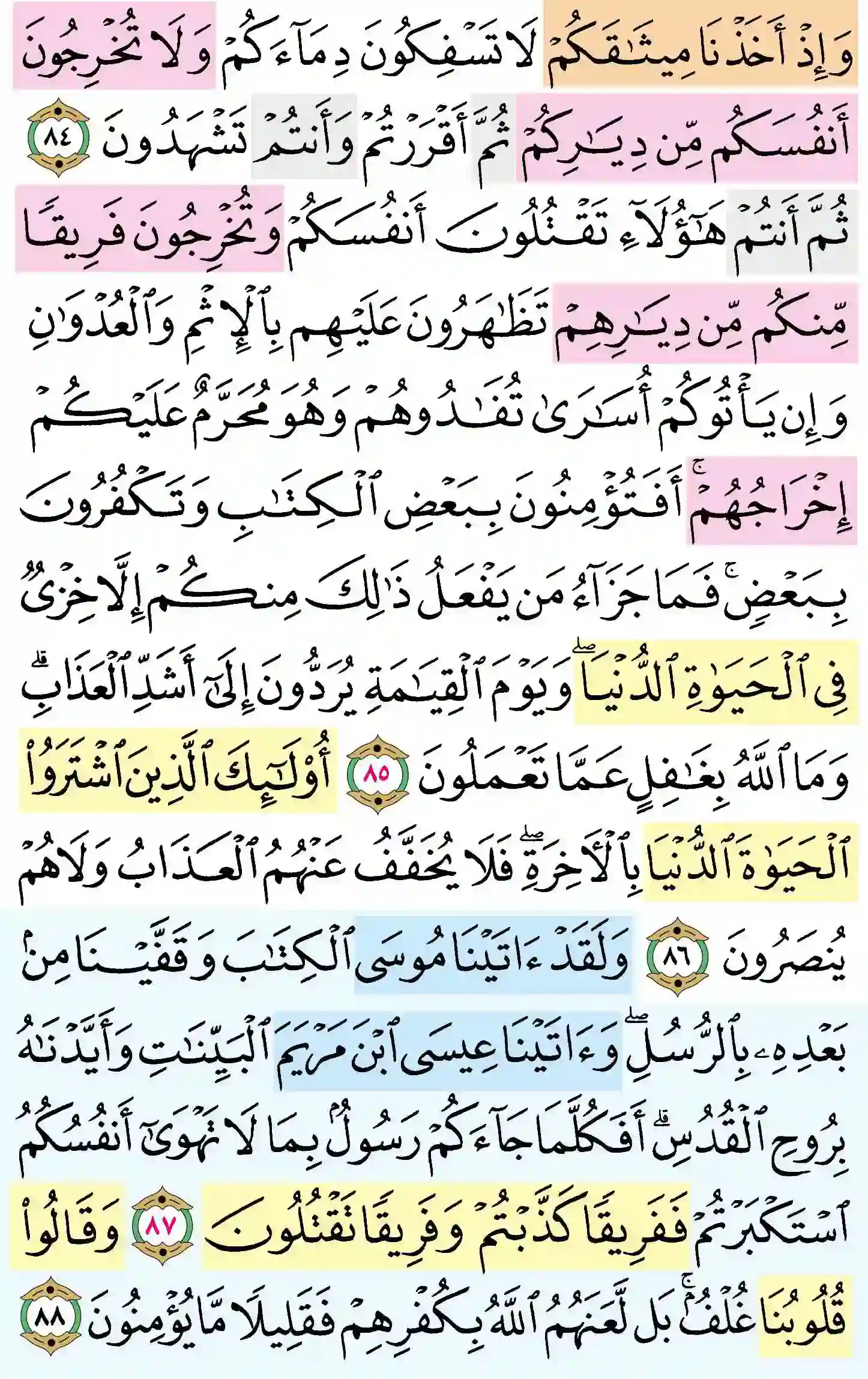 صفحة 13