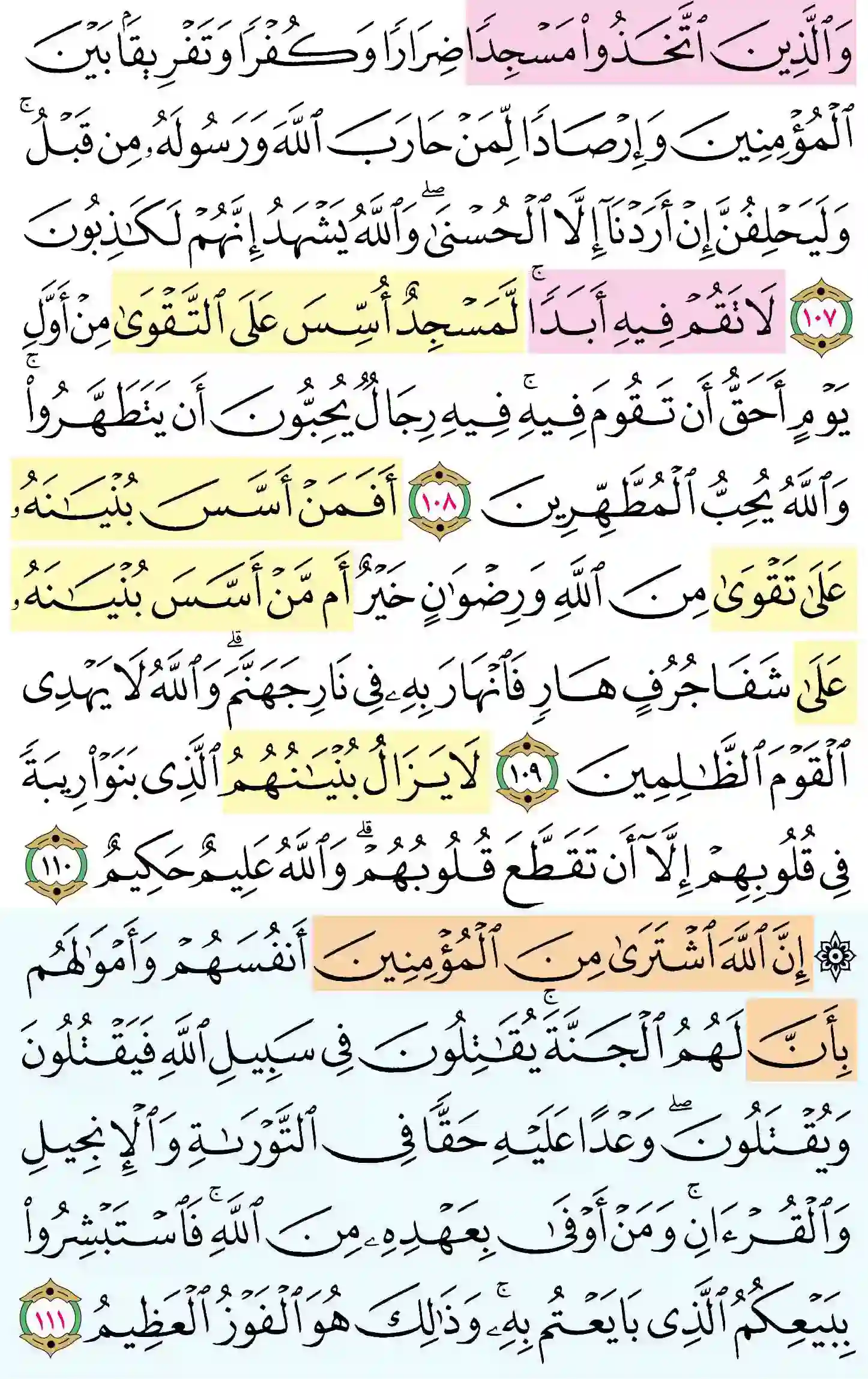 صفحة 204