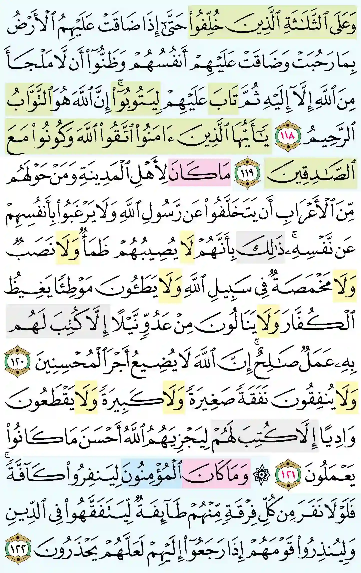 صفحة 206