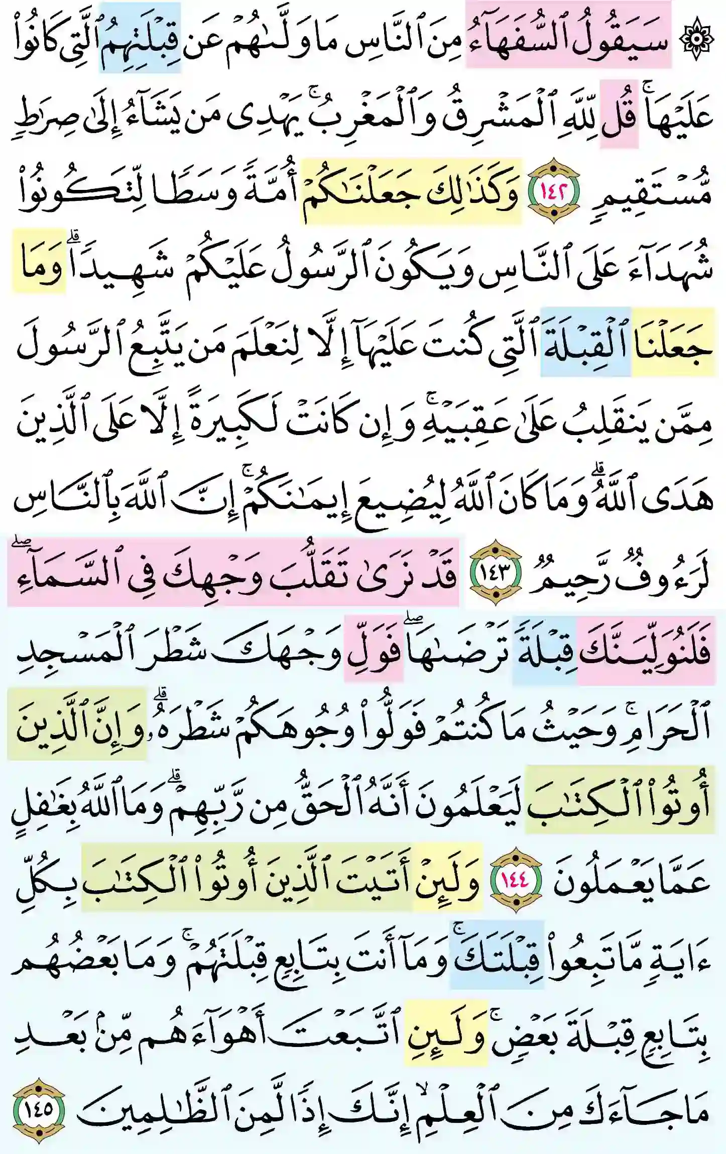 صفحة 22