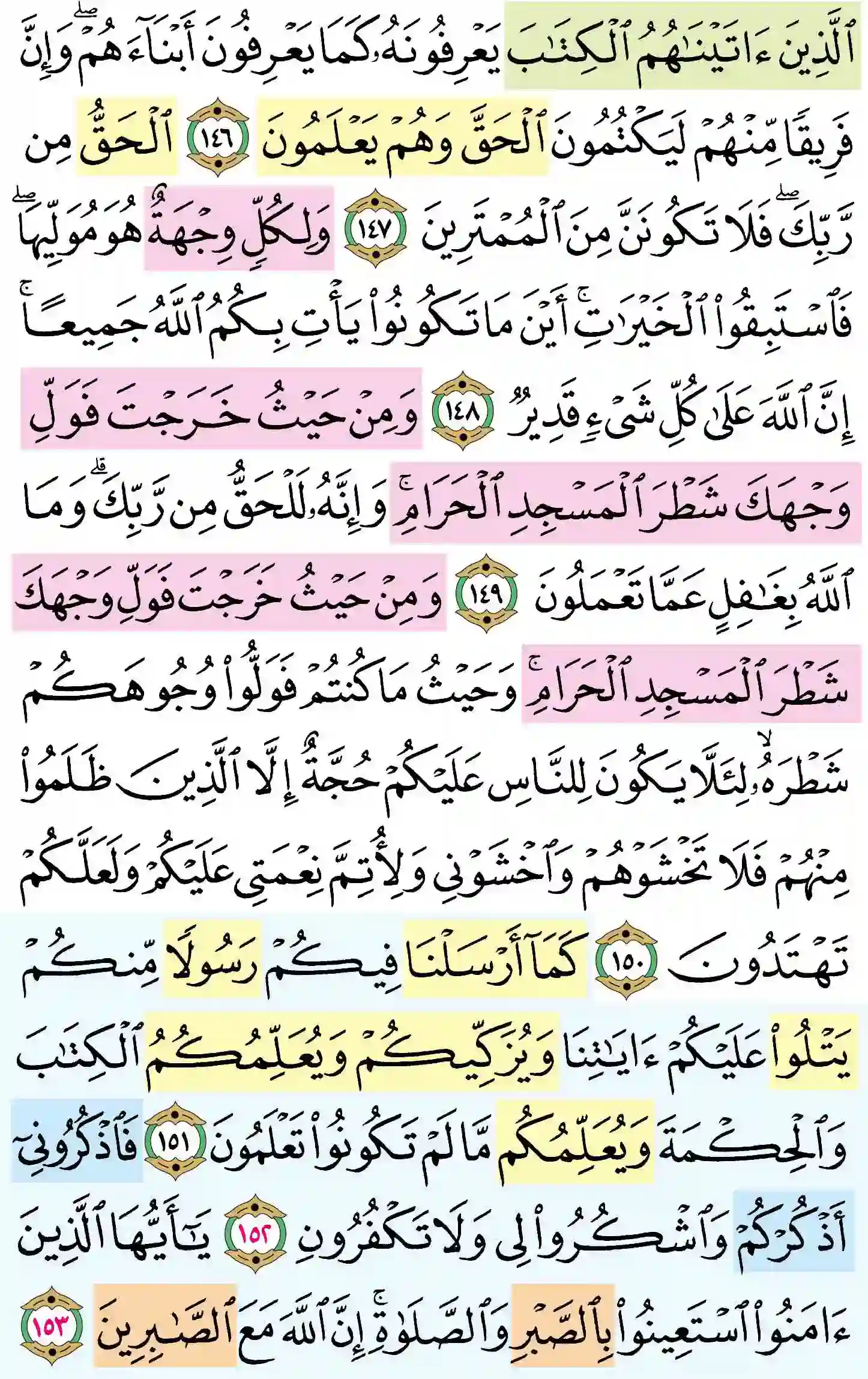 صفحة 23