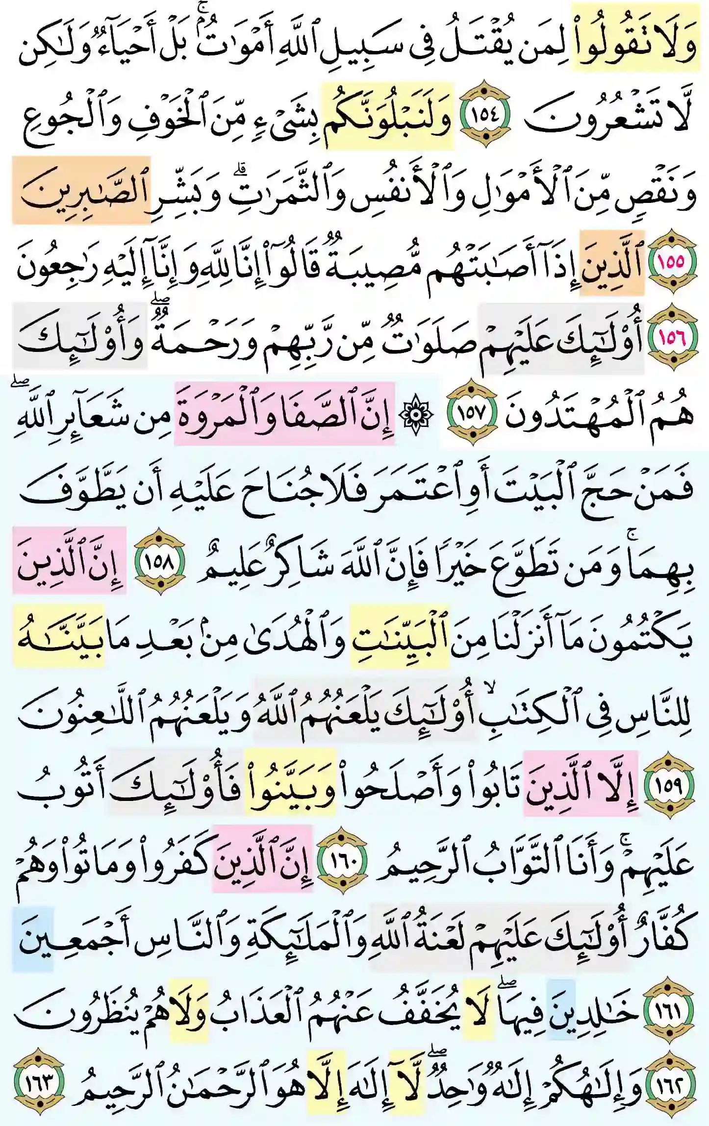 صفحة 24