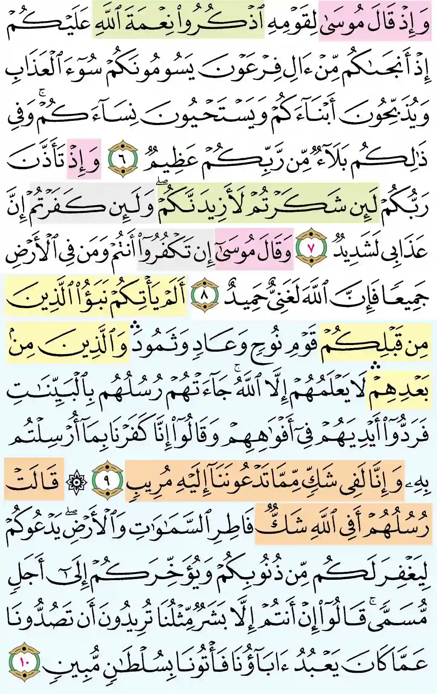 صفحة 256