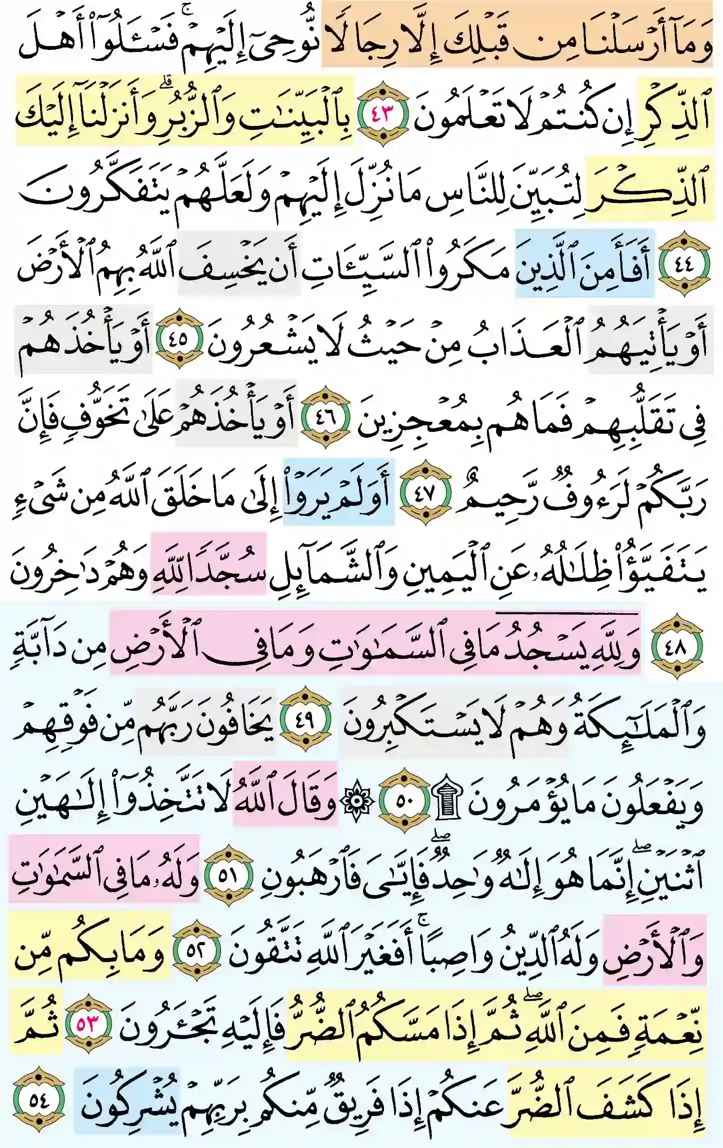 صفحة 272