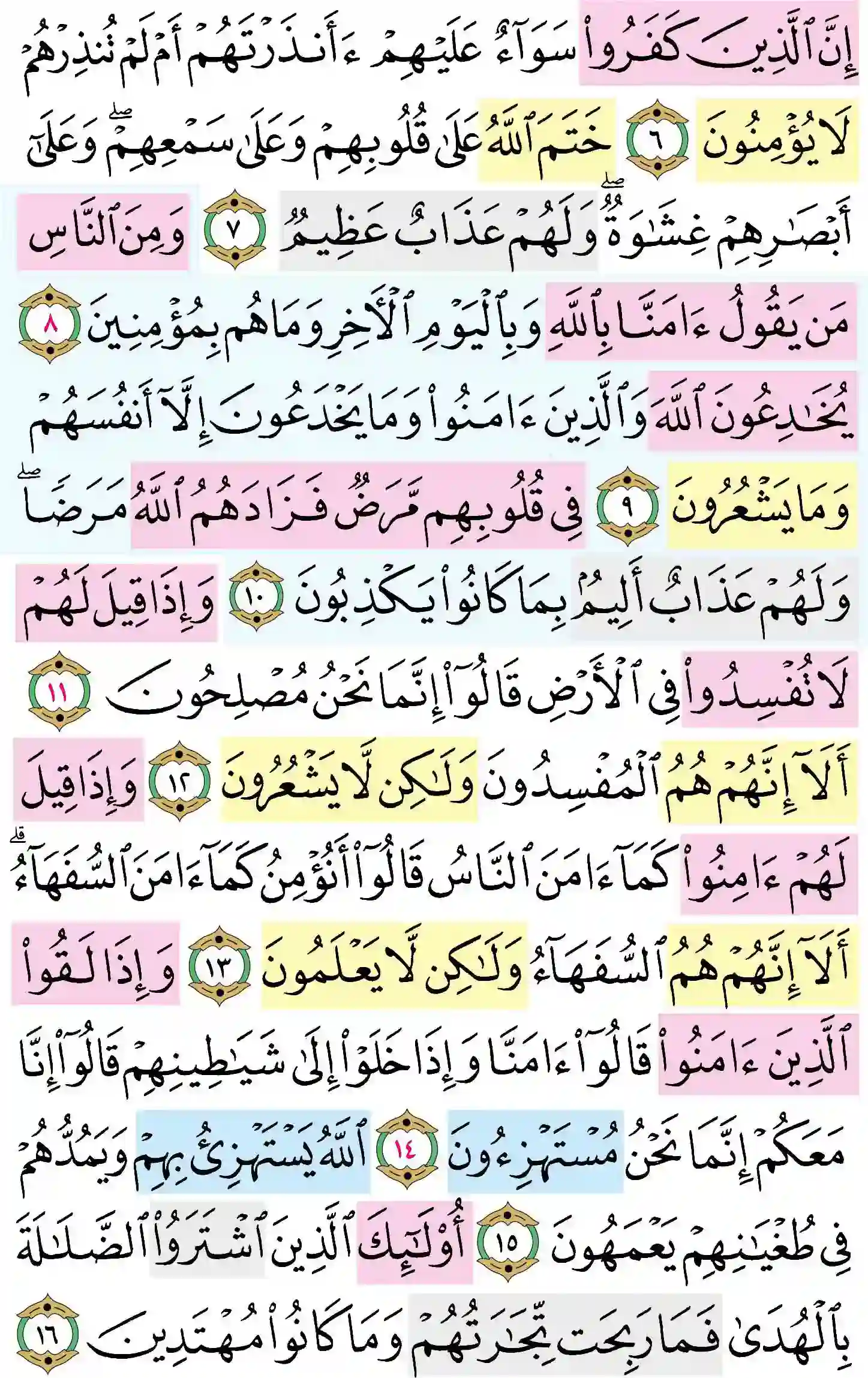 صفحة 3