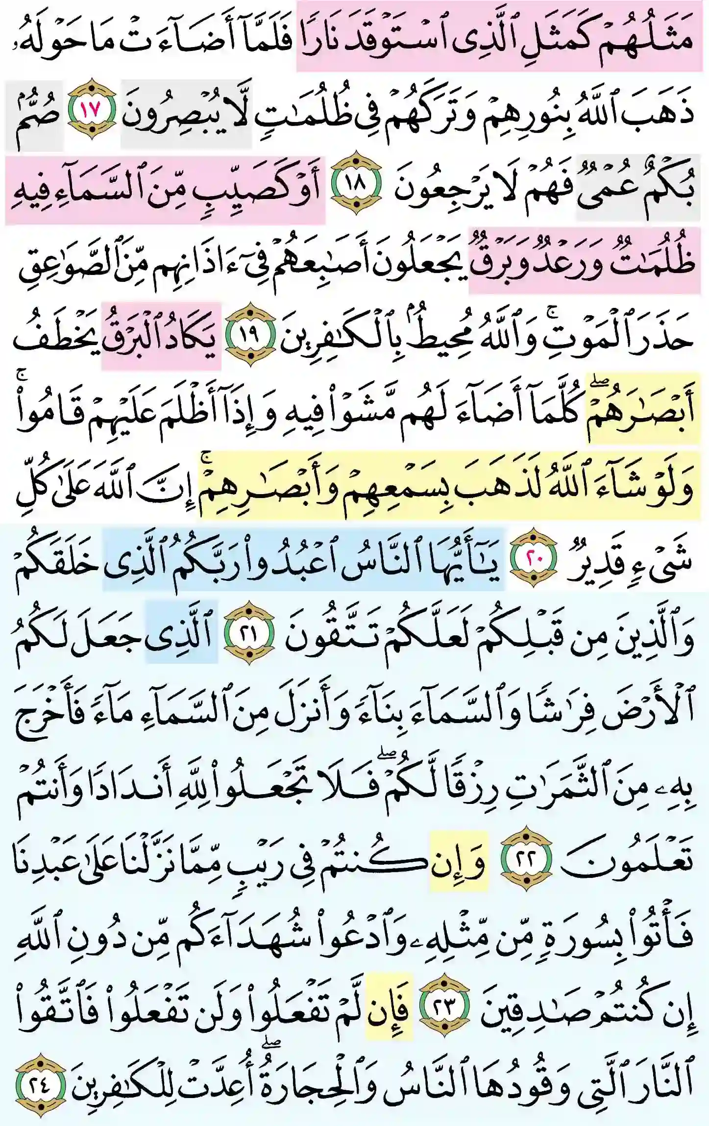 صفحة 4