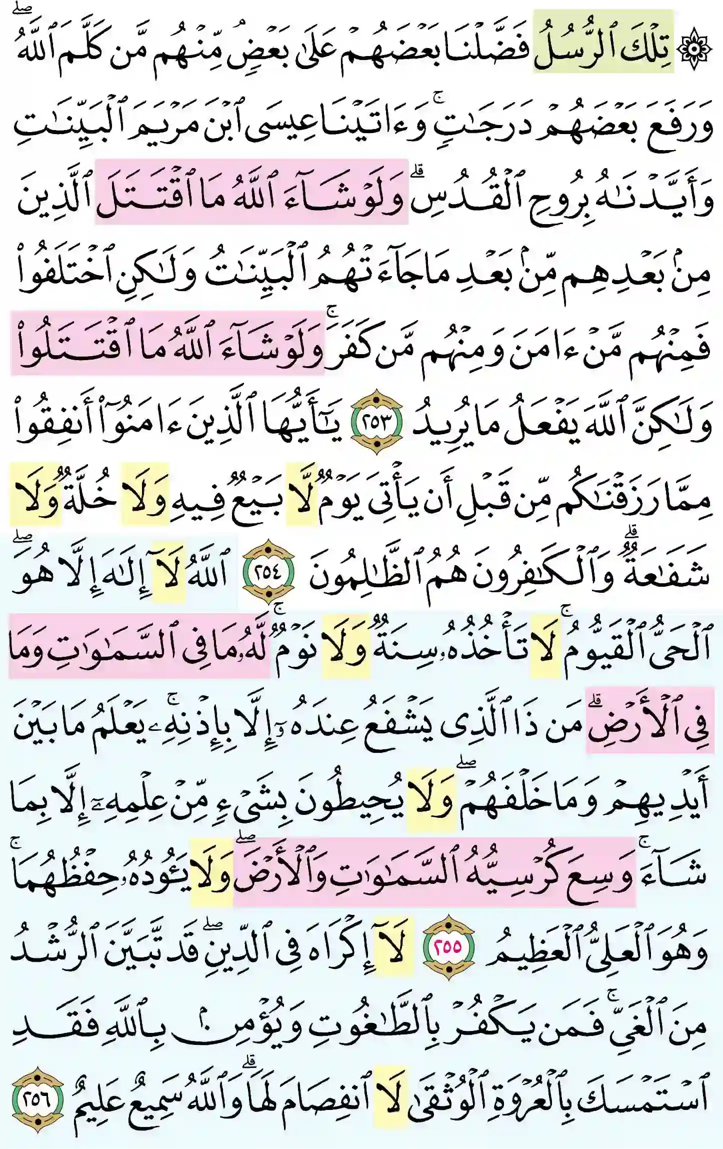 صفحة 42