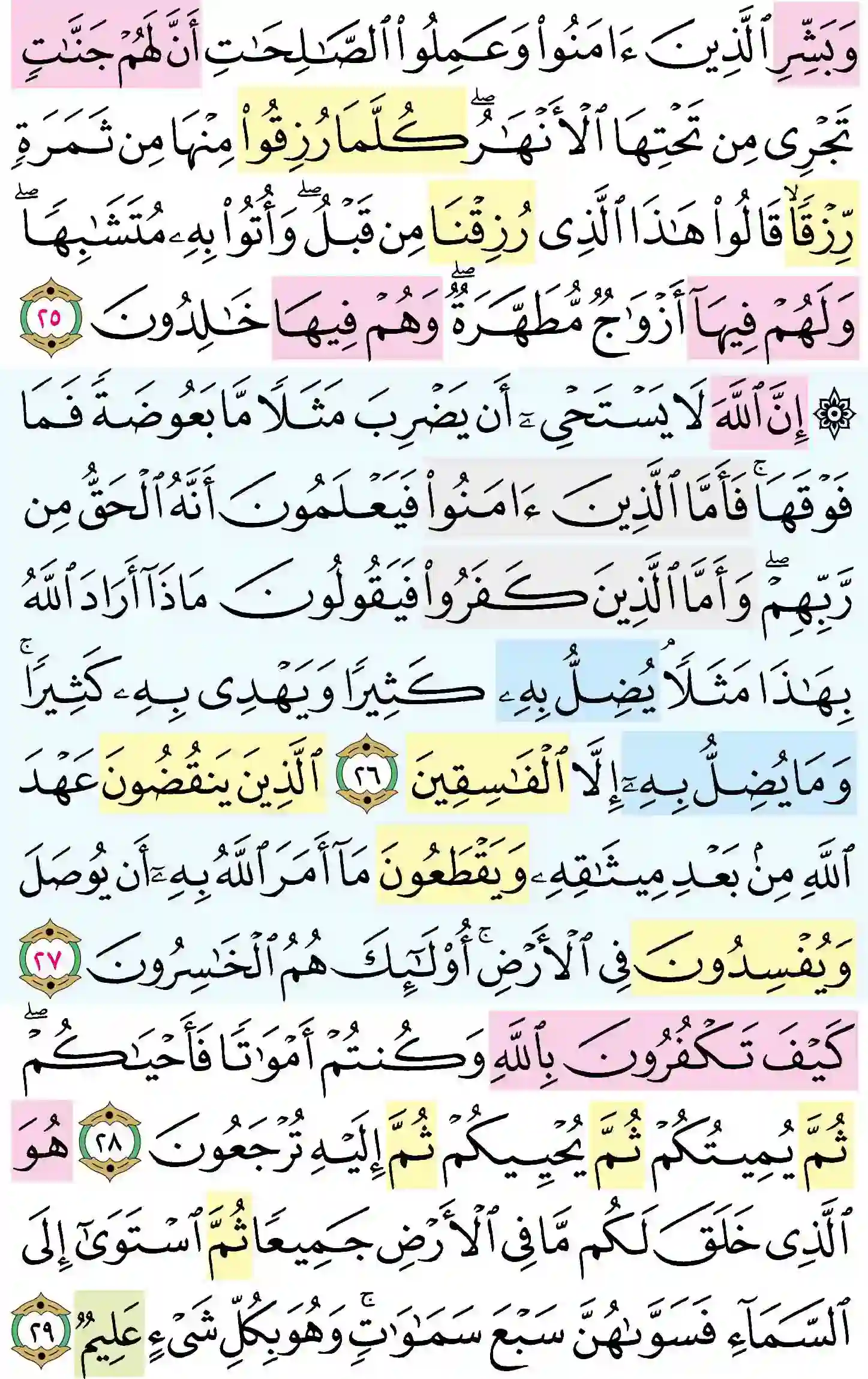 صفحة 5