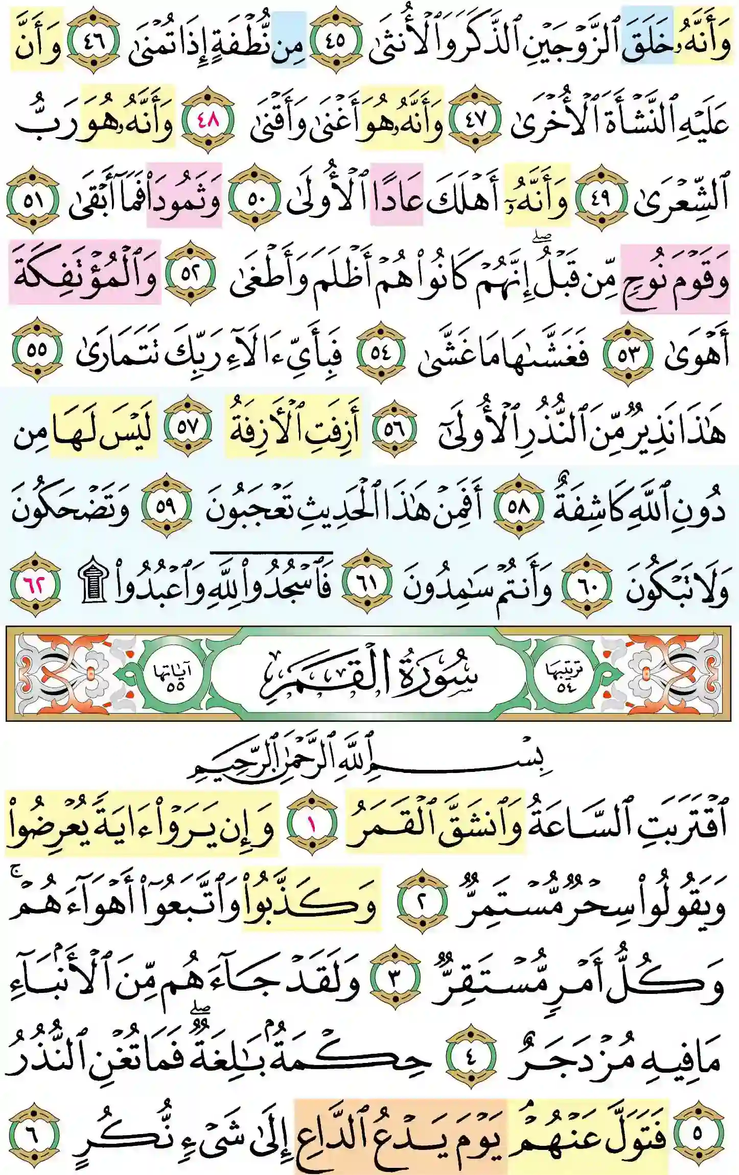 صفحة 528
