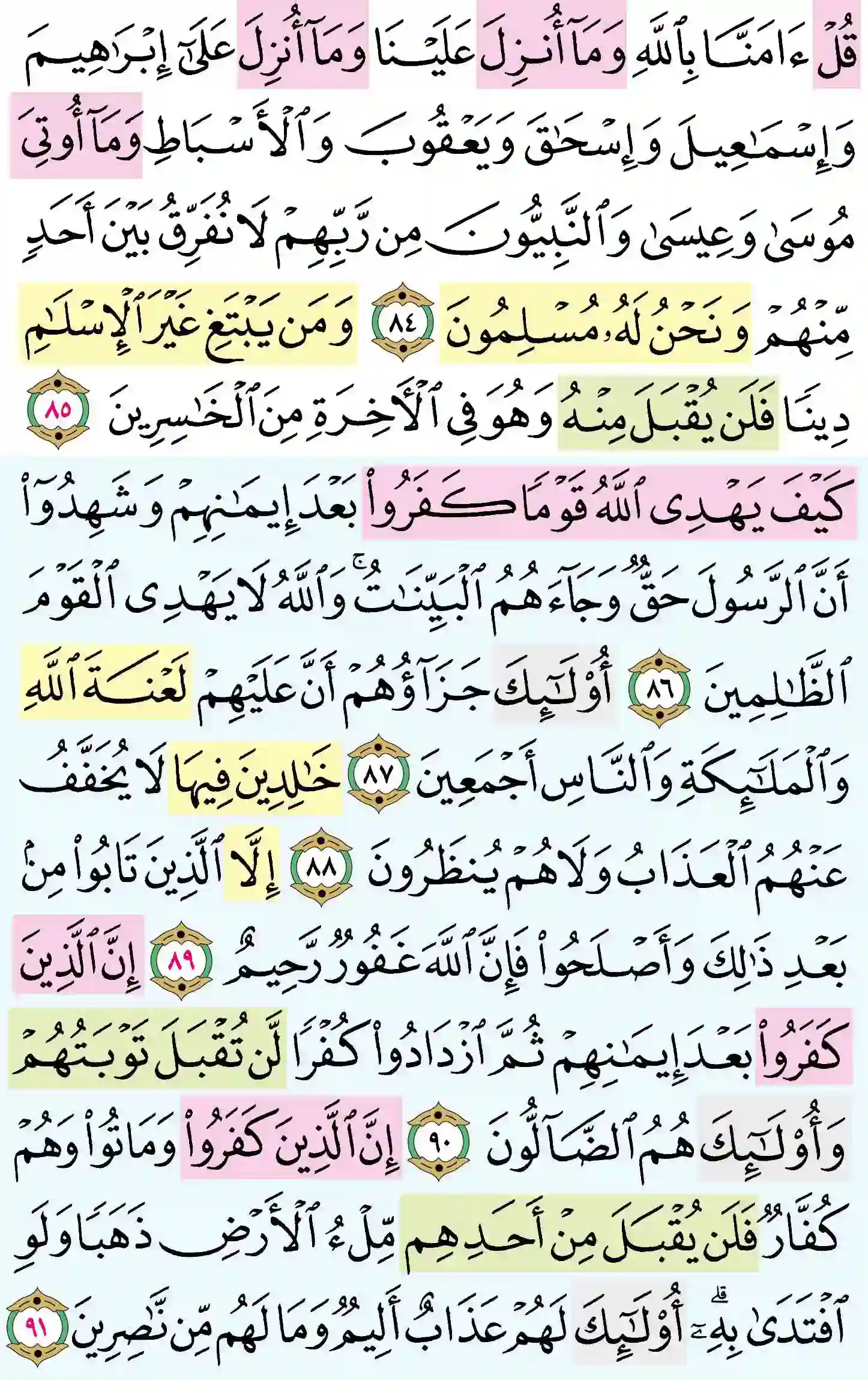 صفحة 61