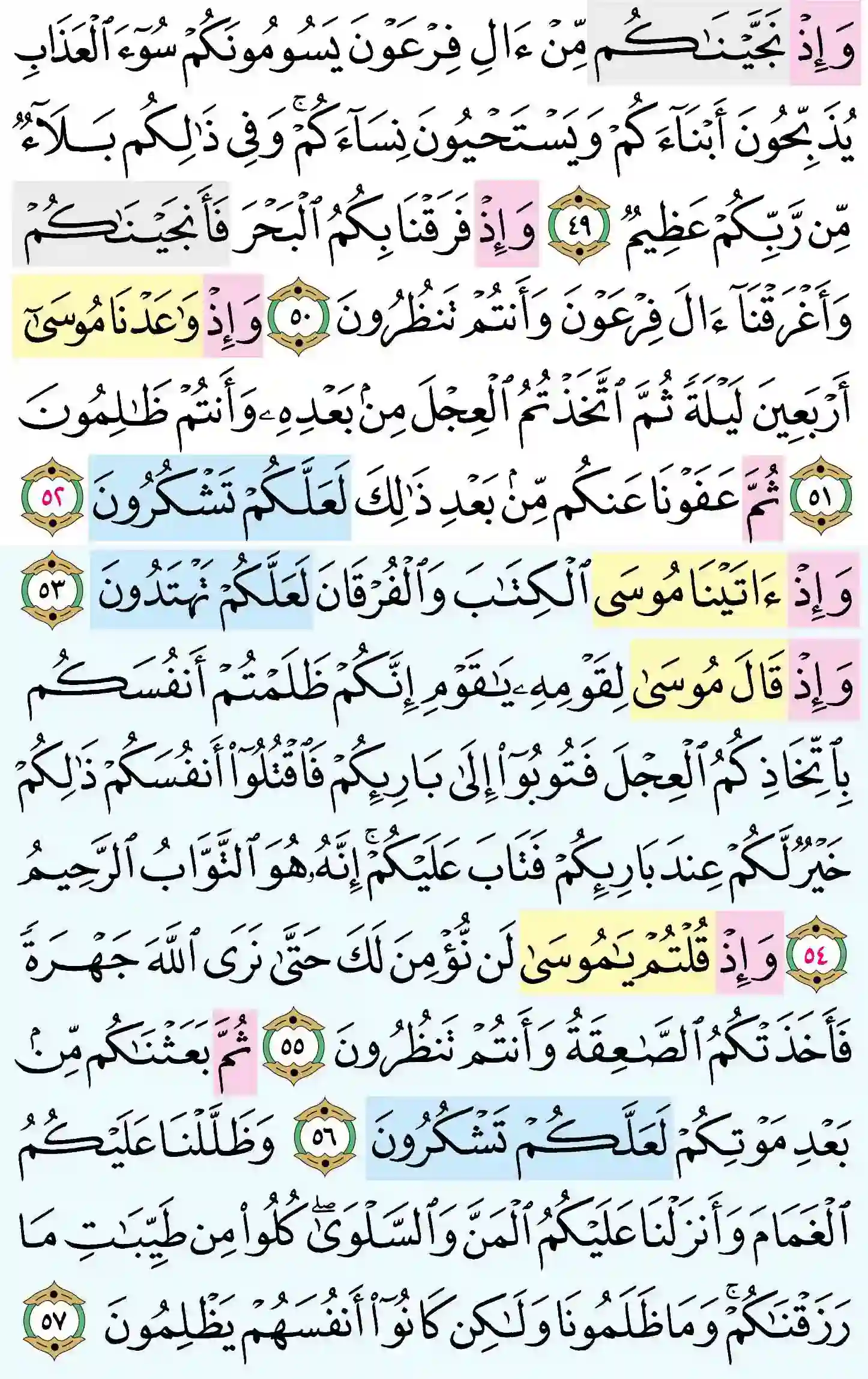 صفحة 8