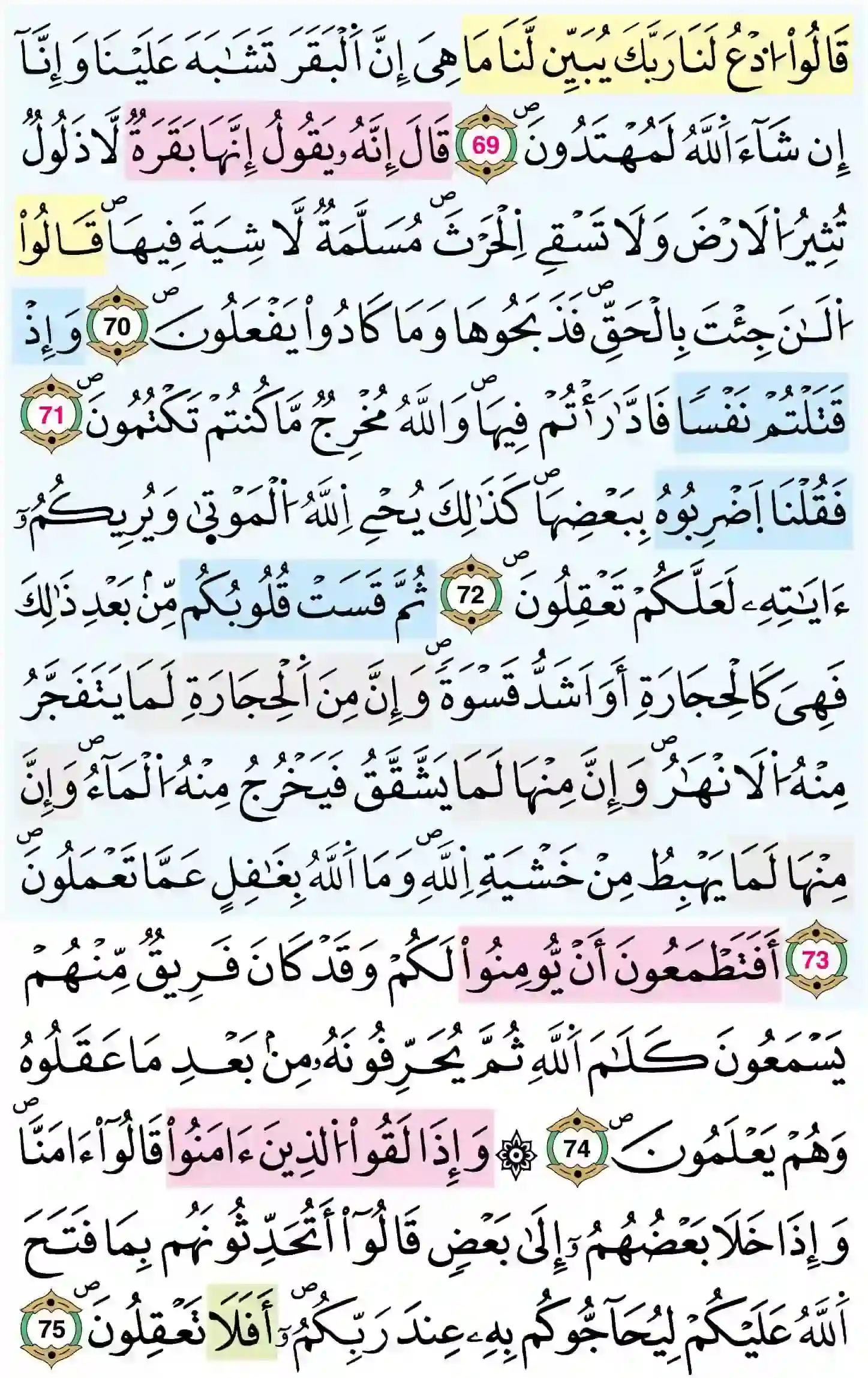صفحة 11