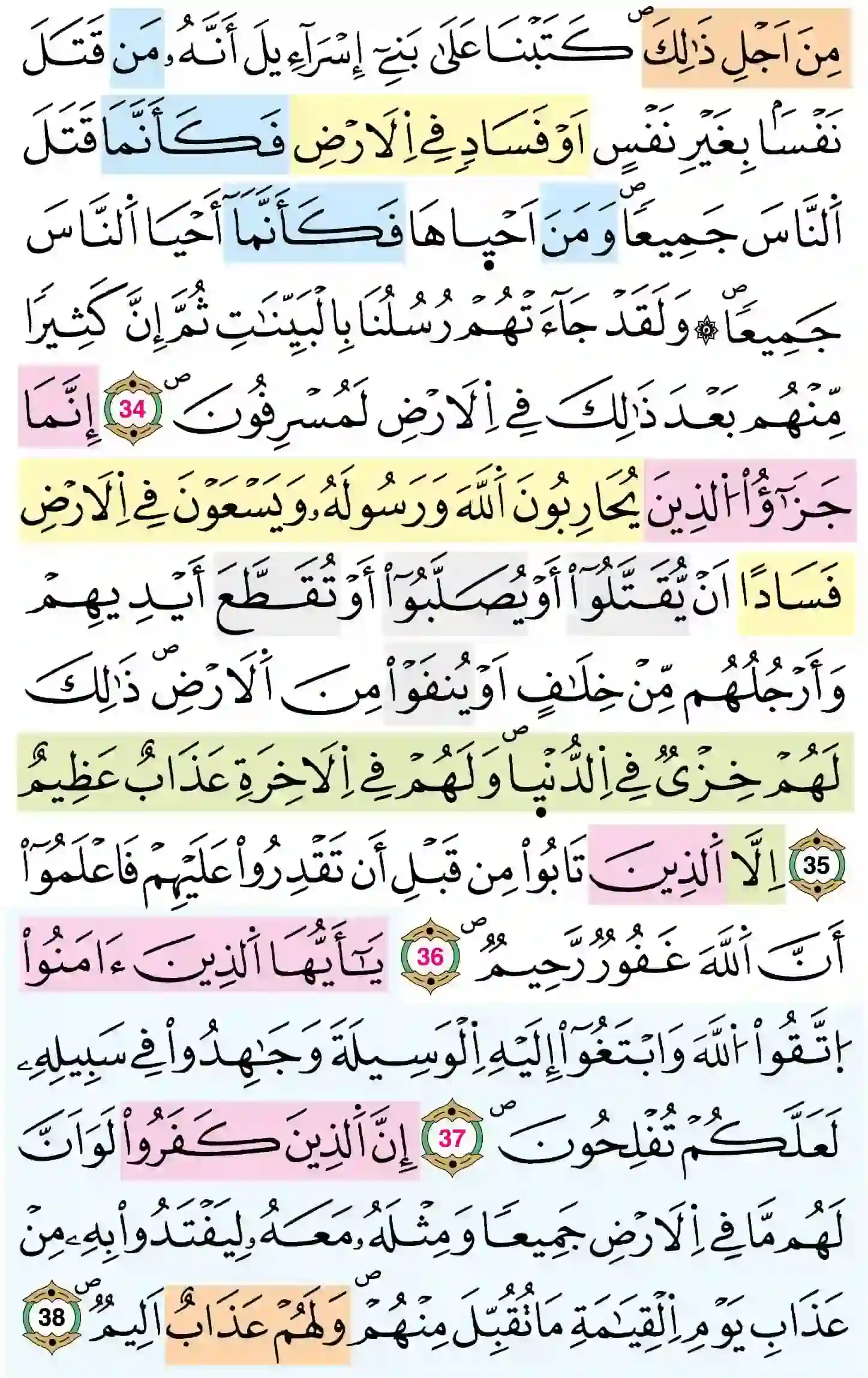 صفحة 113