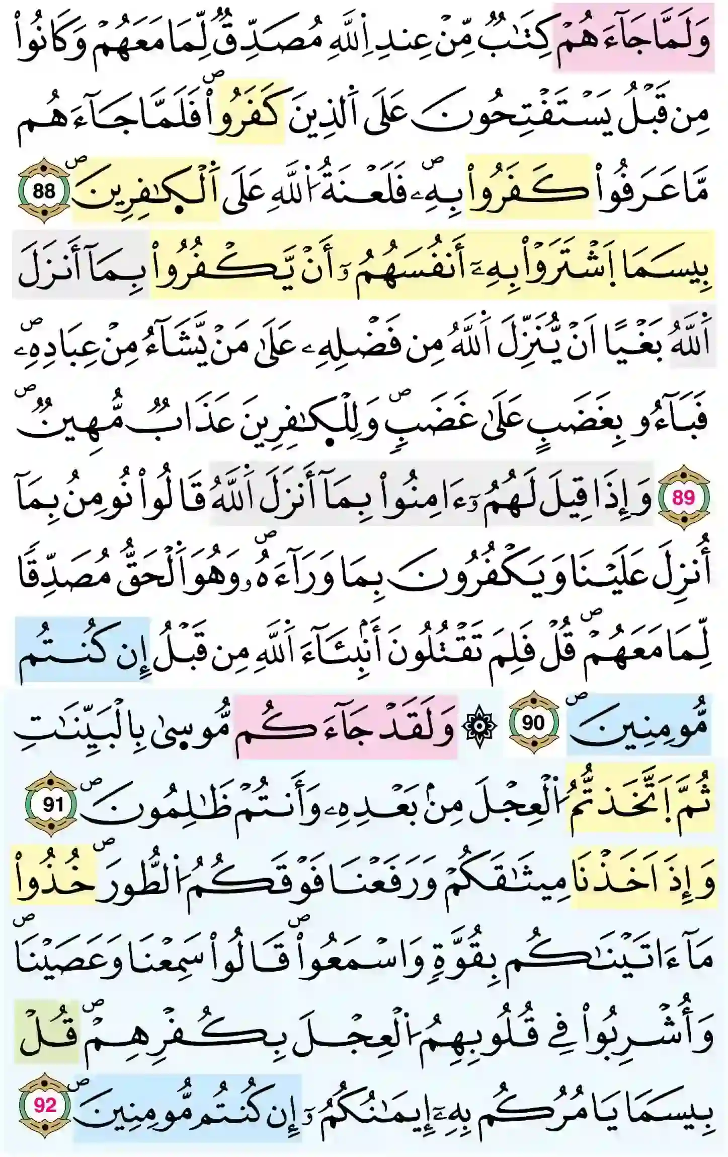 صفحة 14