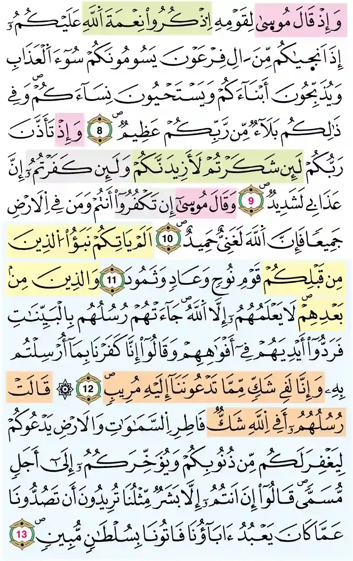 صفحة 256