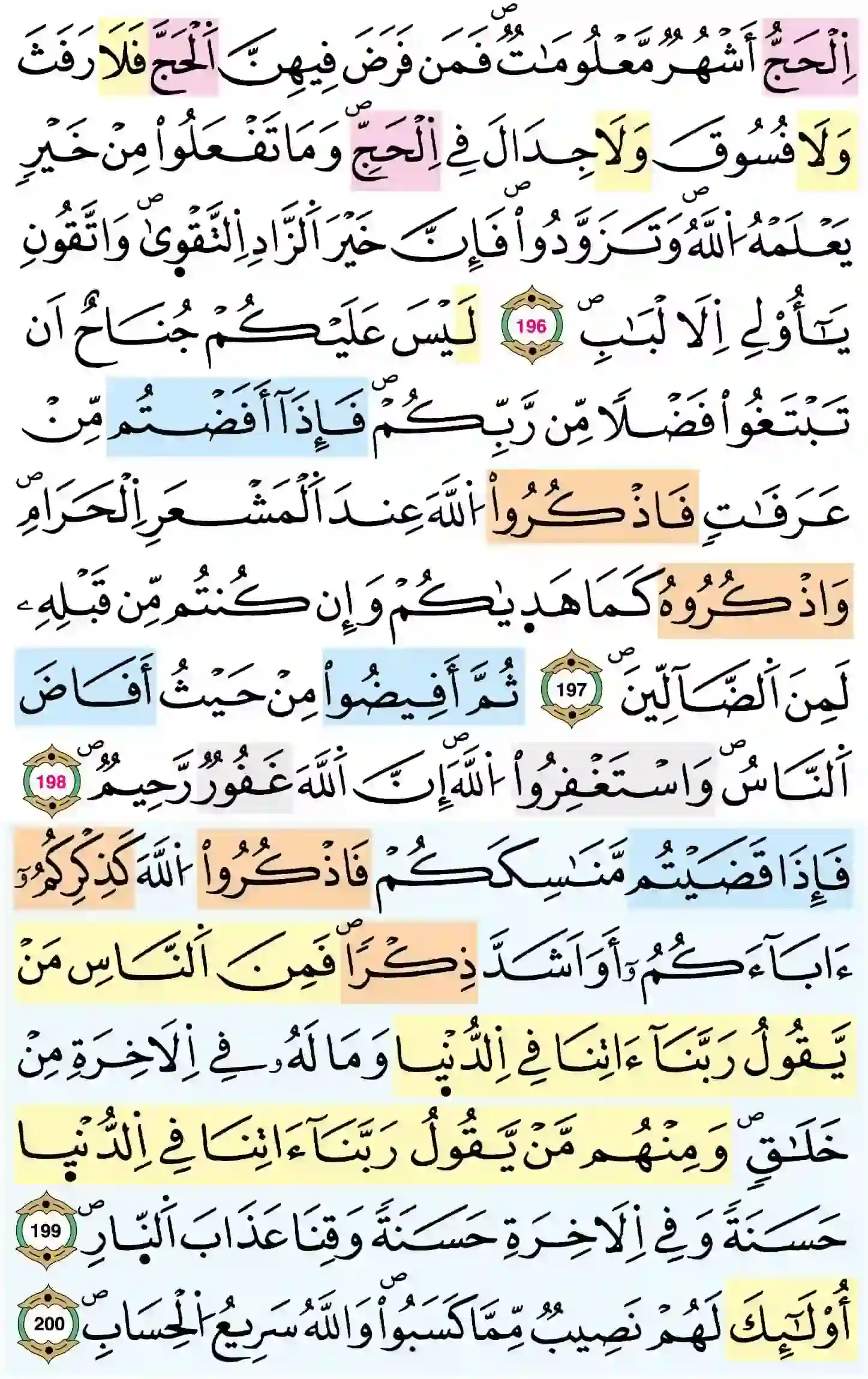 صفحة 31