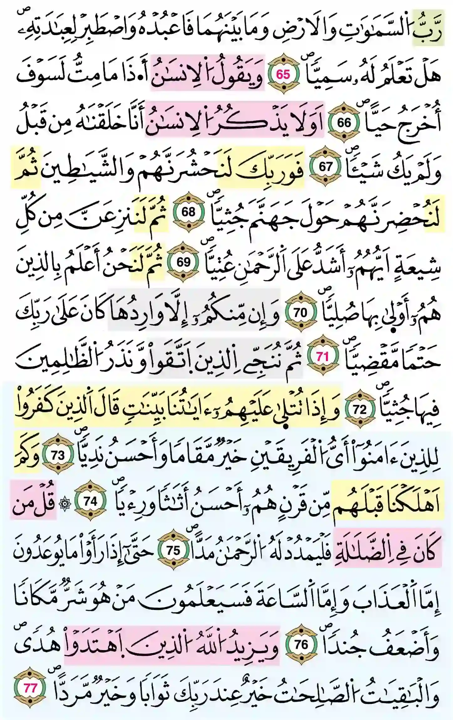 صفحة 310