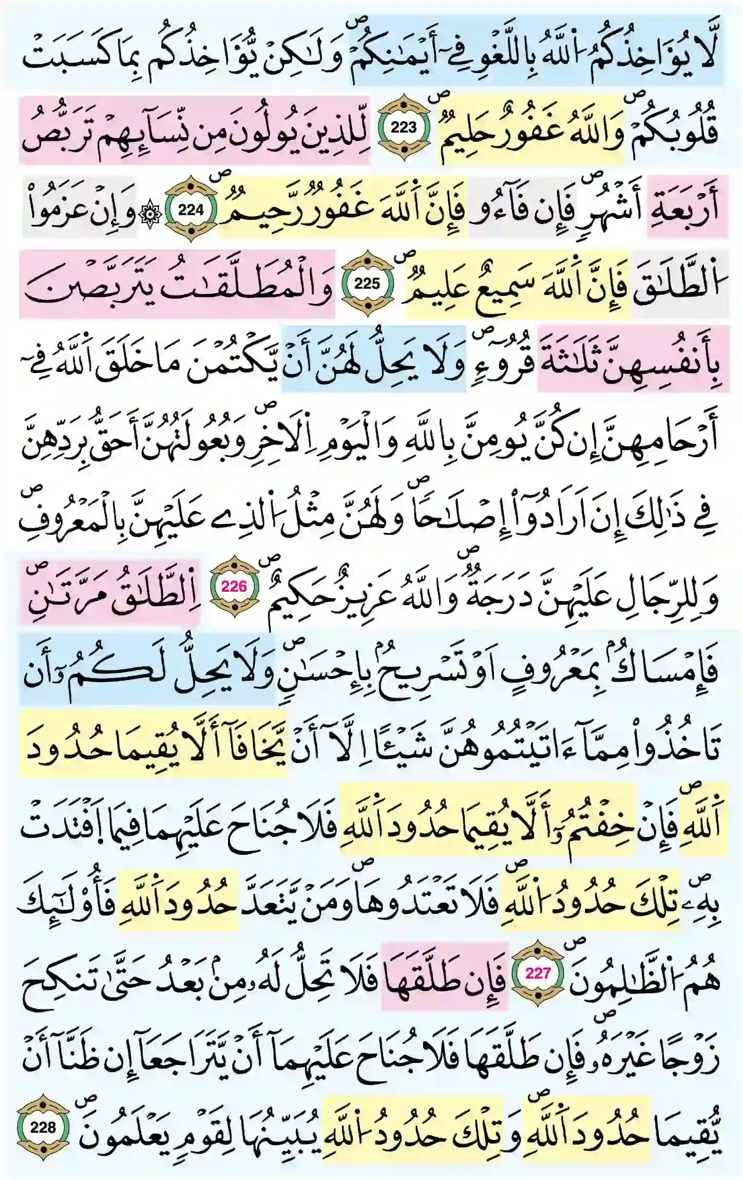 صفحة 36