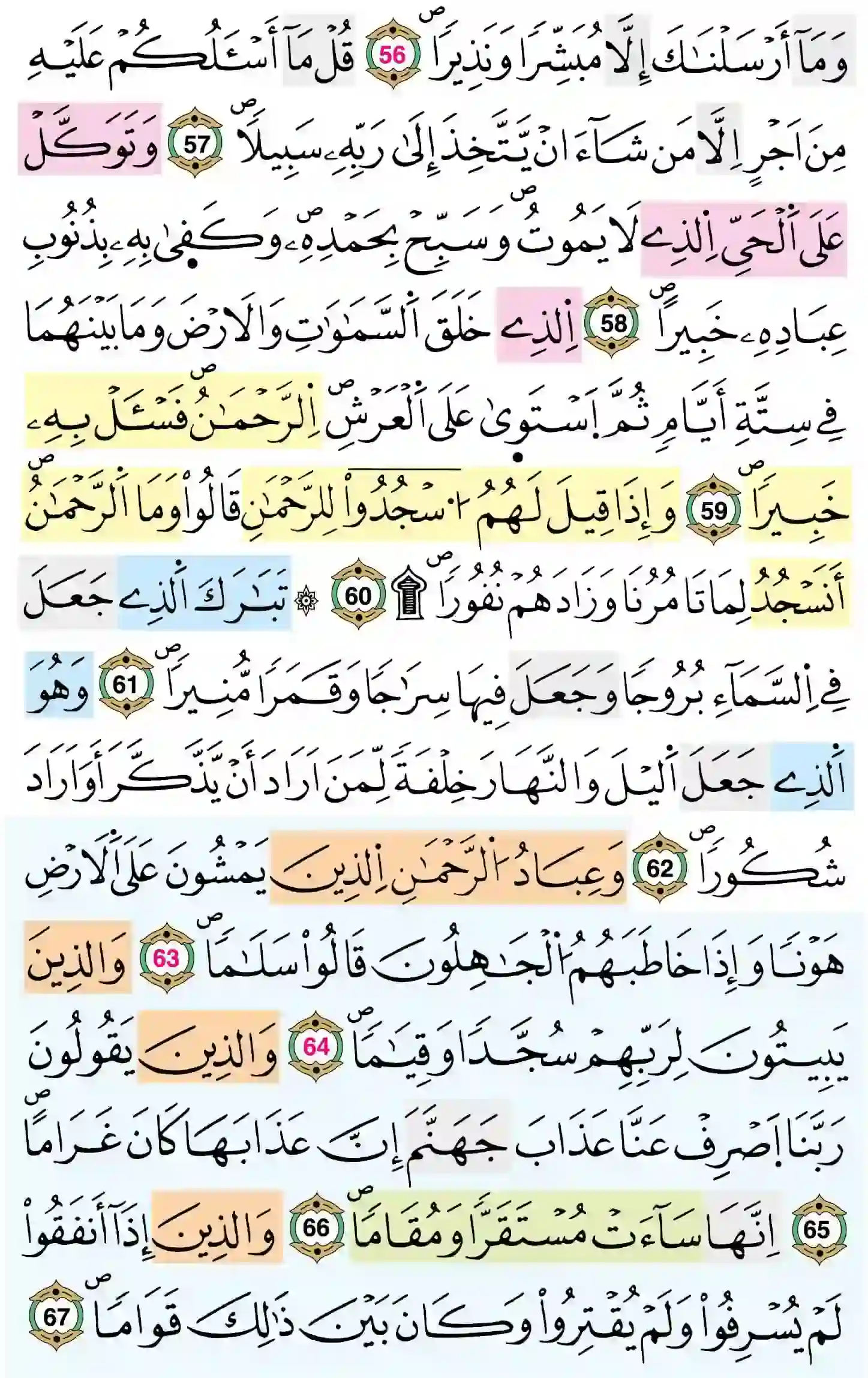 صفحة 365