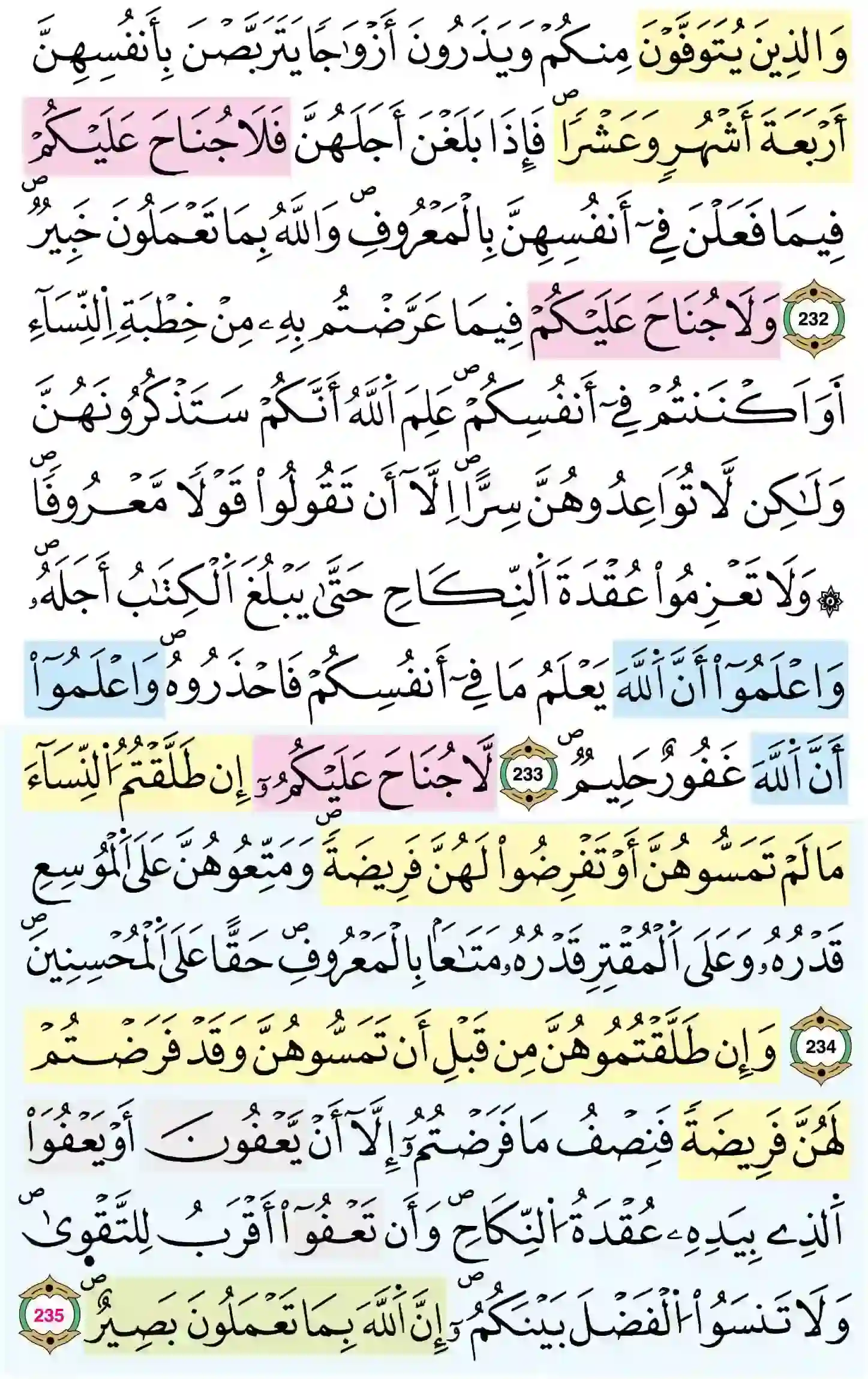 صفحة 38