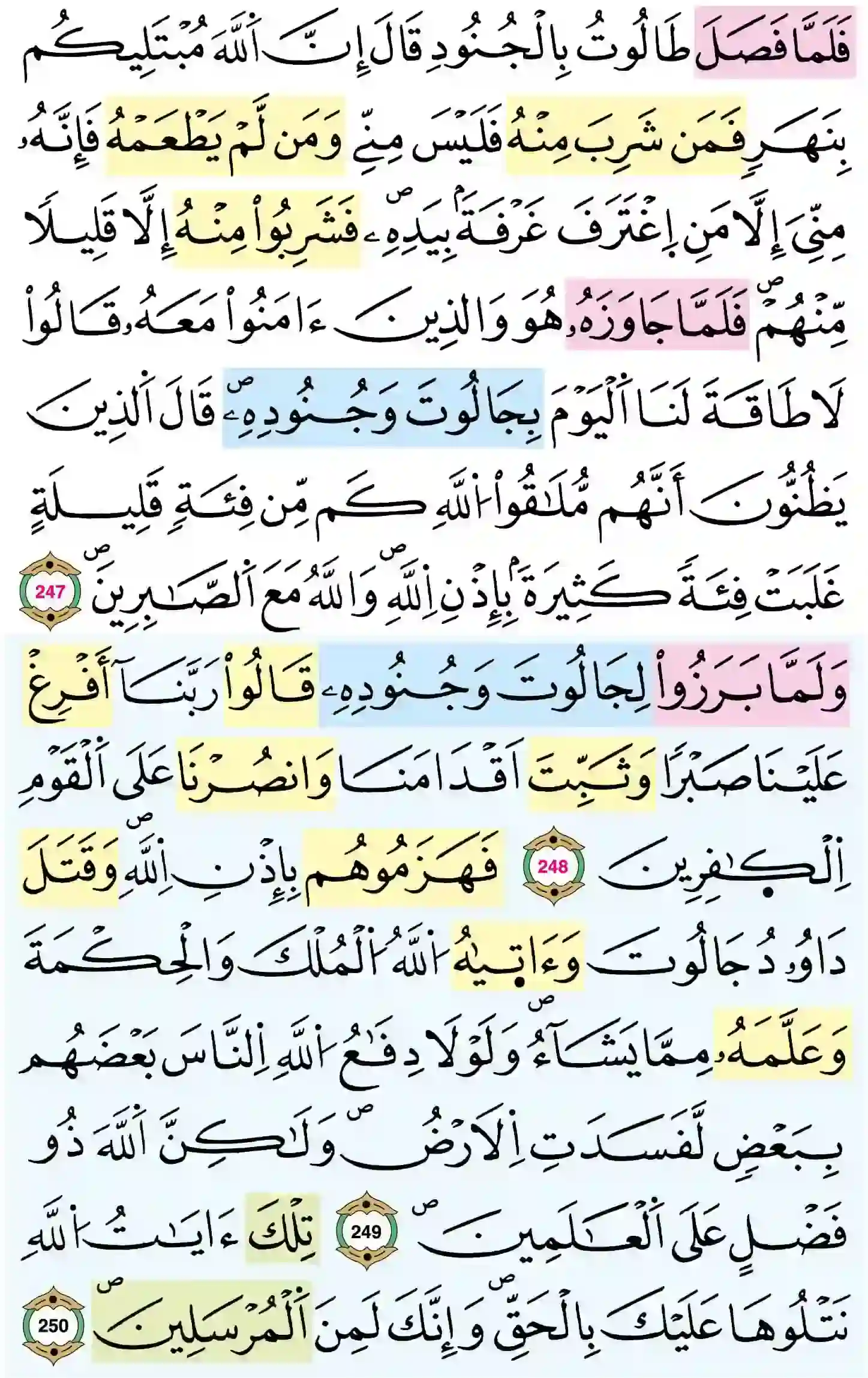 صفحة 41