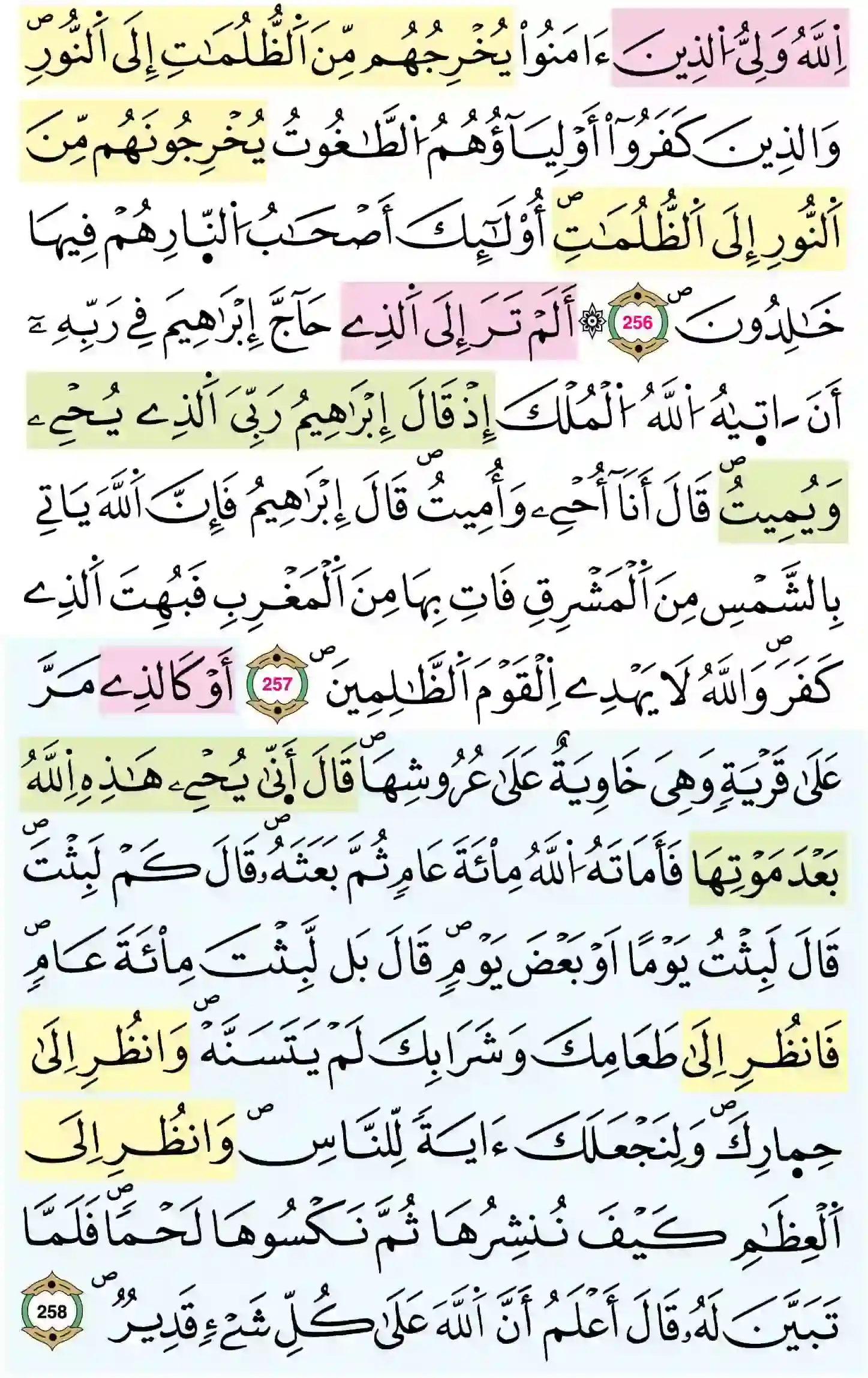 صفحة 43