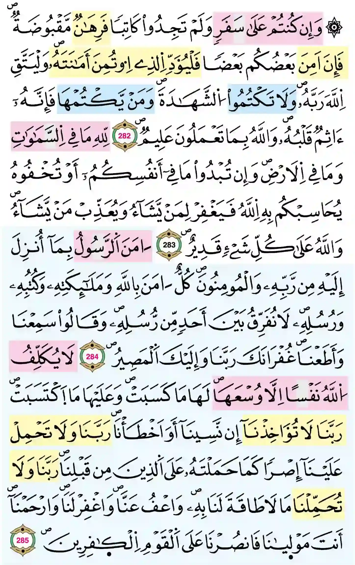 صفحة 49