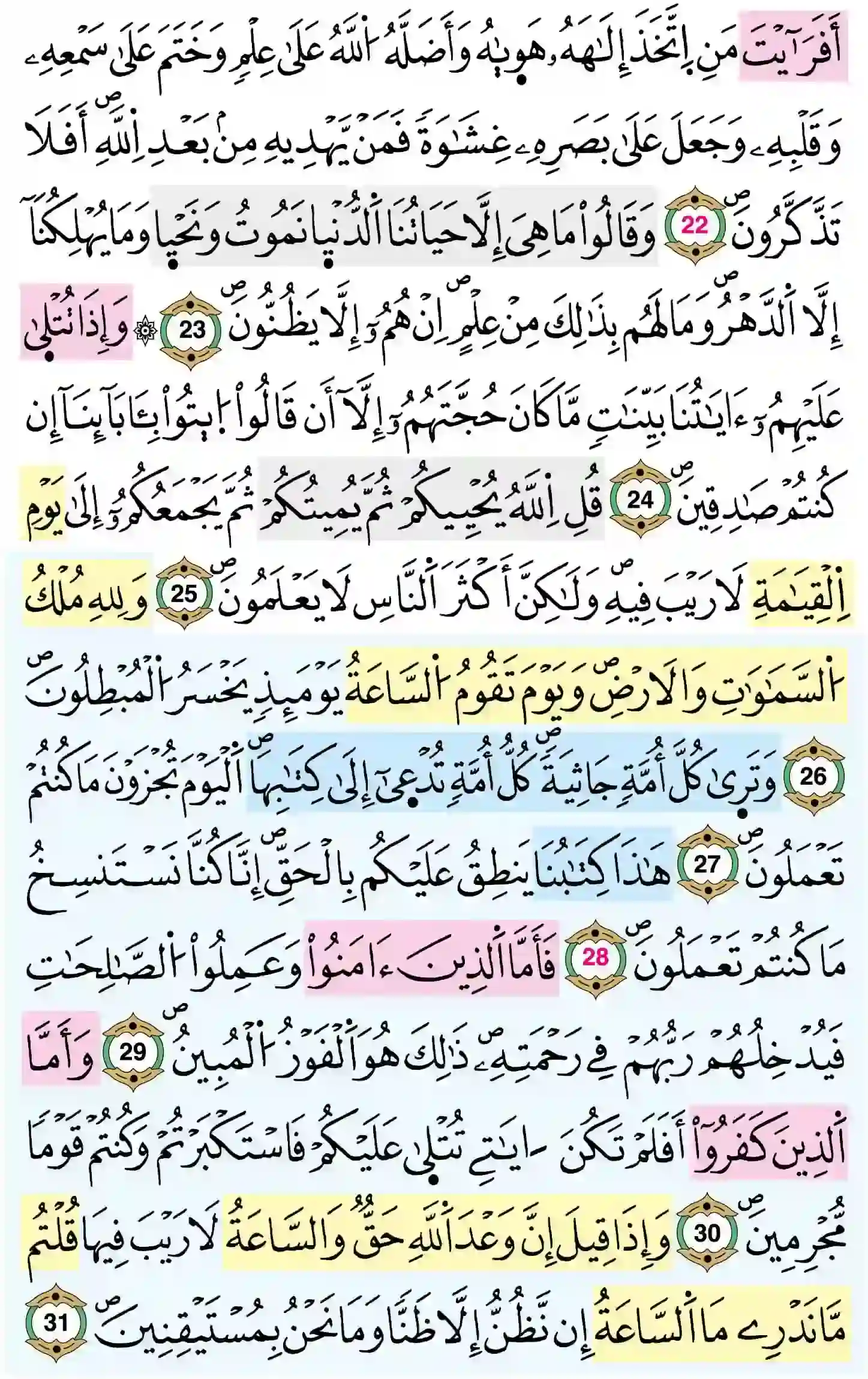 صفحة 501