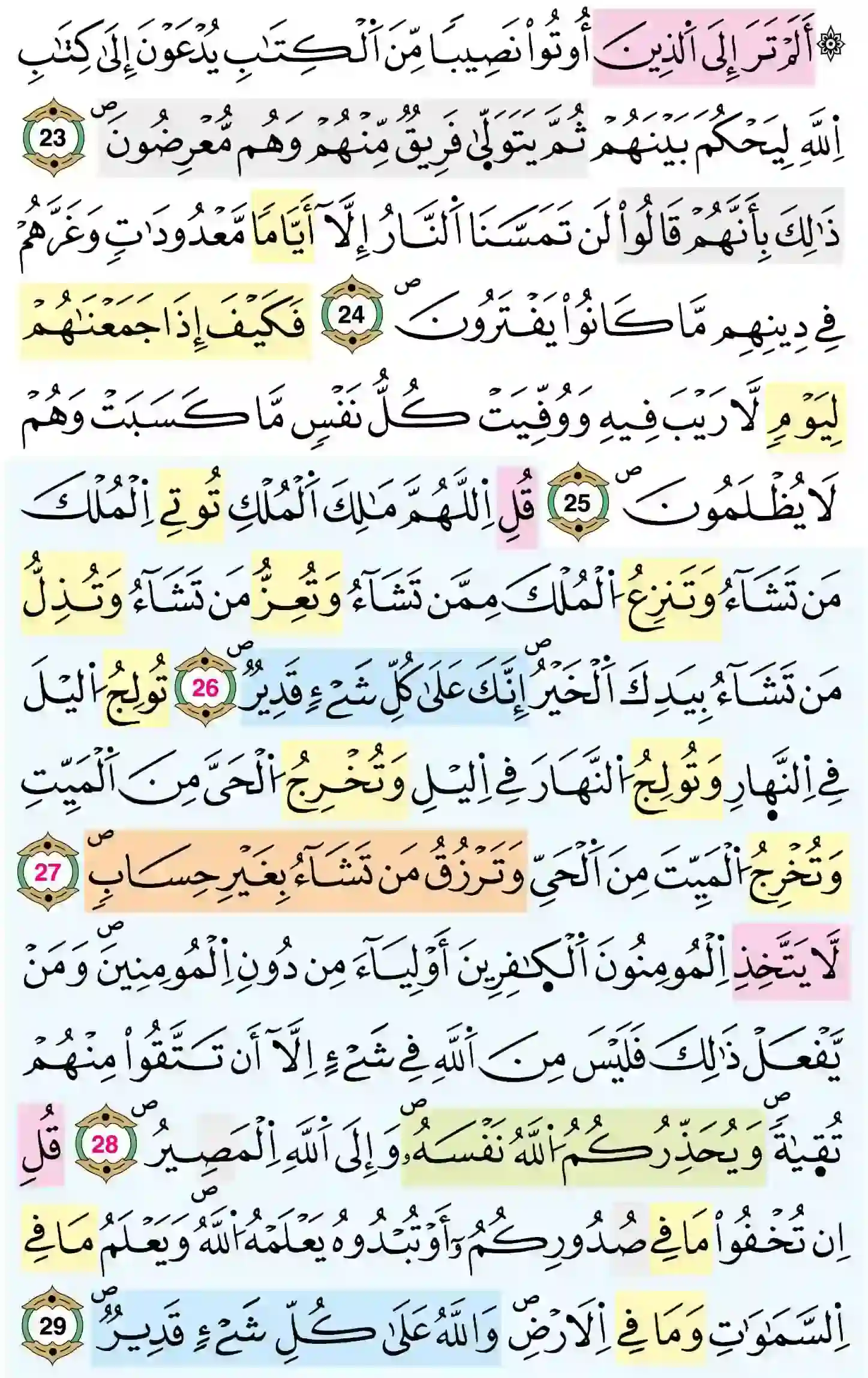 صفحة 53
