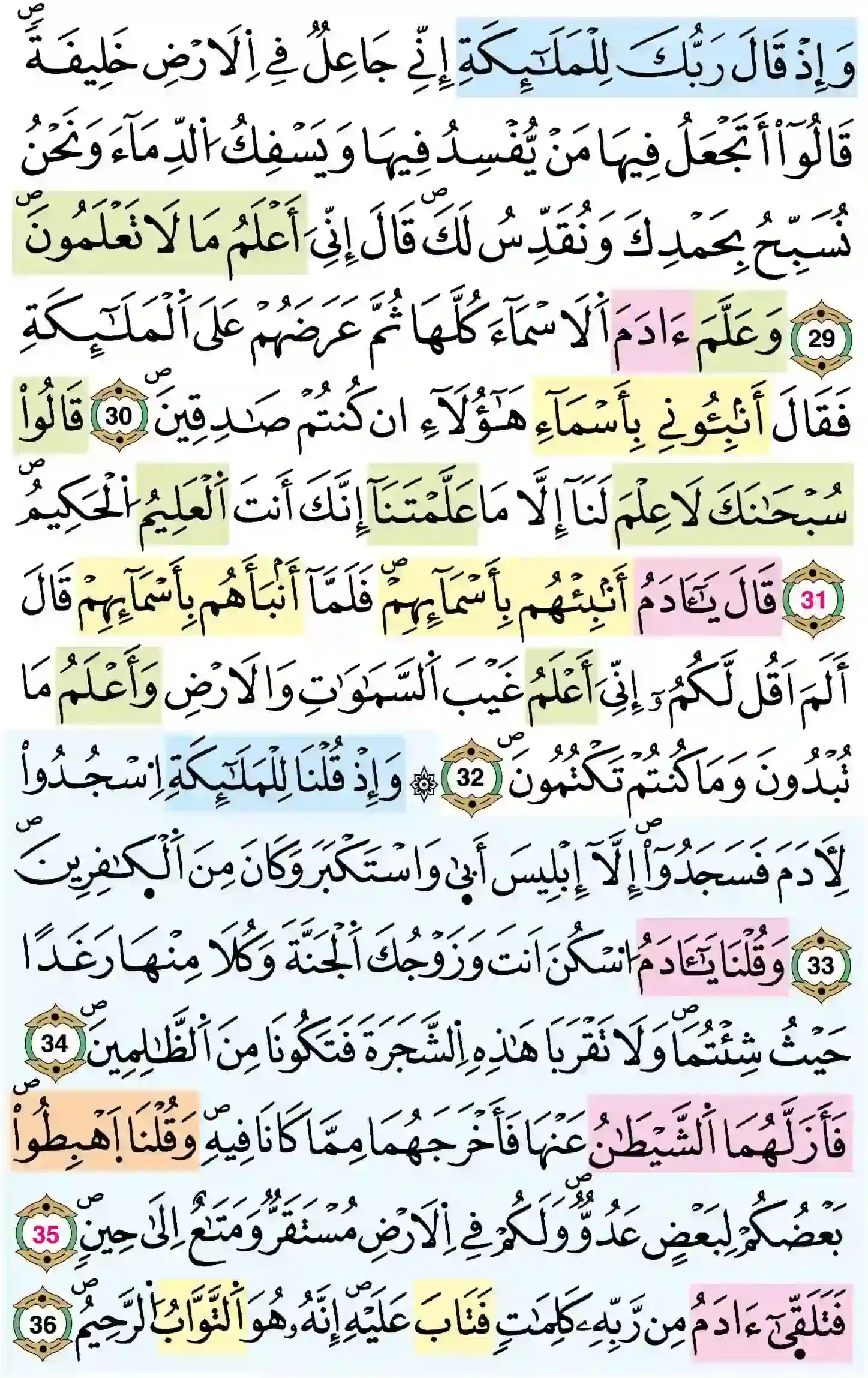 صفحة 6