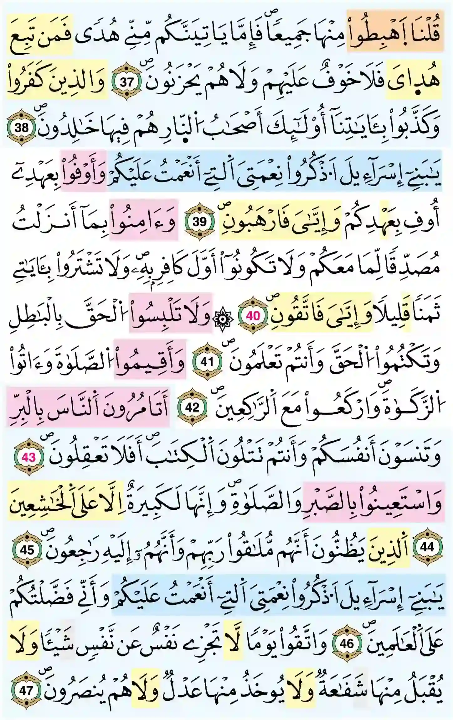 صفحة 7